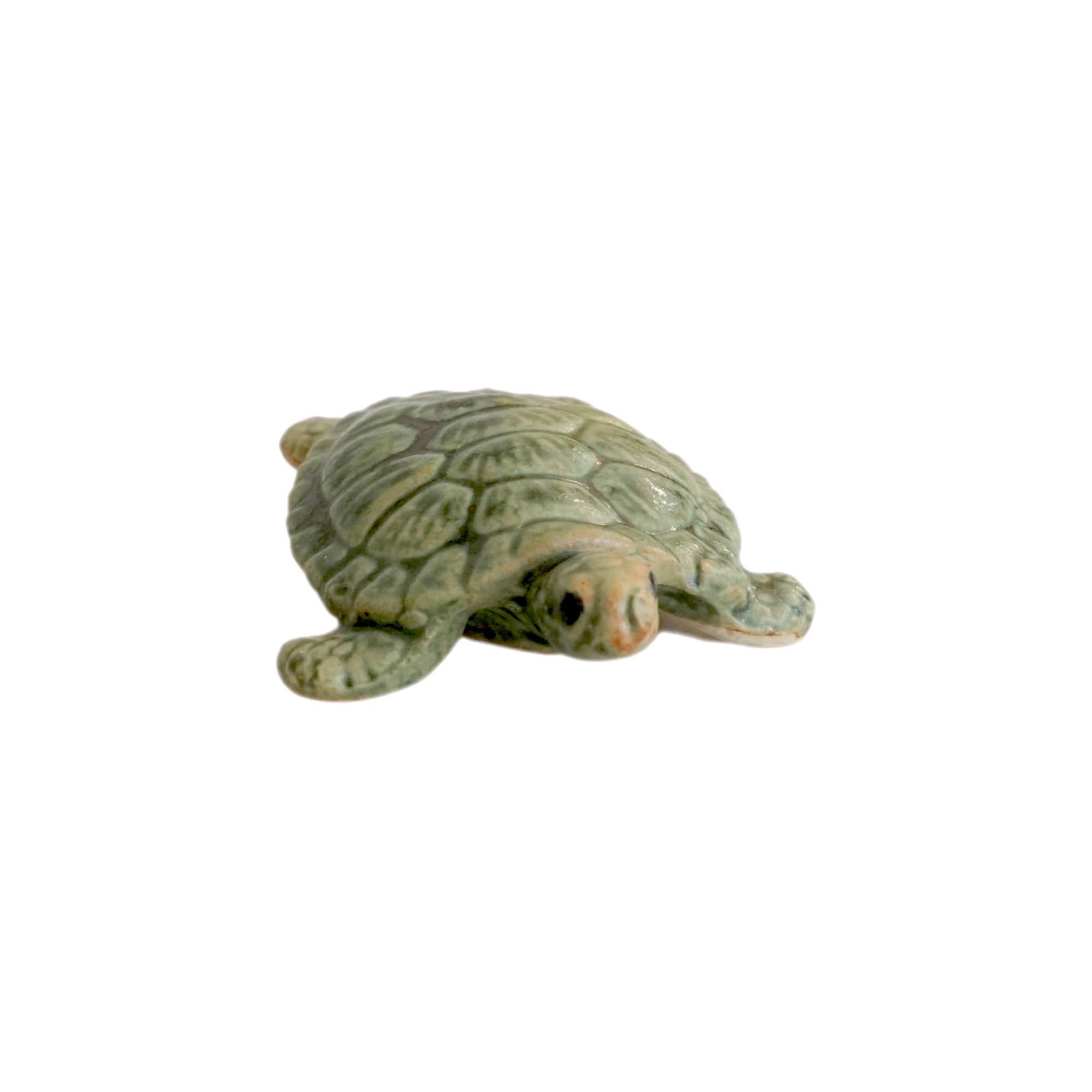 Schwimm Schildkröte
